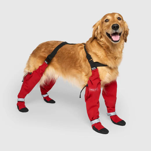 Bottes Pour Chien ''Suspender boot'' - Canada Pooch