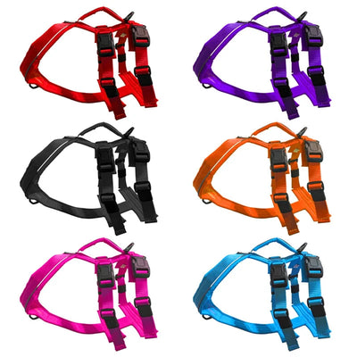 Harnais Atlas Pour Chien Le Chien Blanc