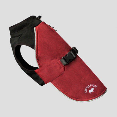 Manteau 'The expedition coat'- Grandeur 32- Rouge- Canada Pooch