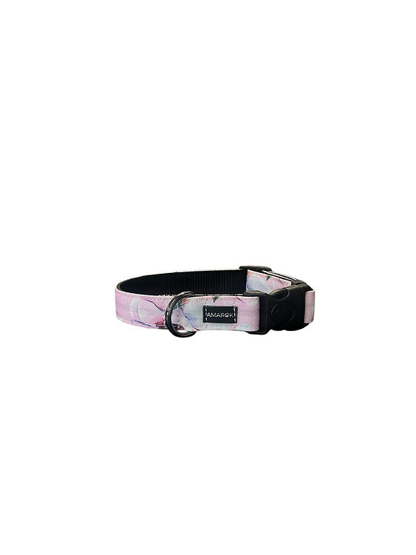 Collier Pour Chien Amarok