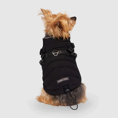 Manteau Pour Chien ''Harness Puffer'' - Canada Pooch