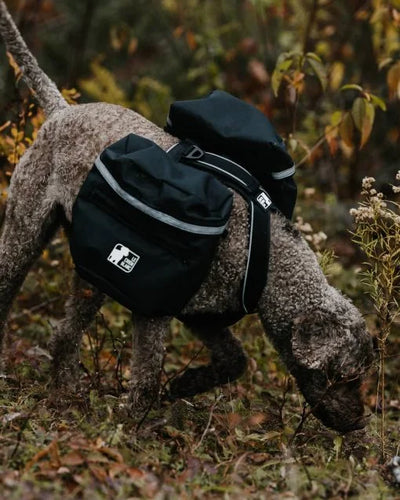 Sac À Dos Expédition Pour Chien Le Chien Blanc