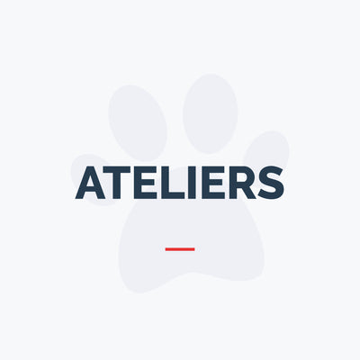 Ateliers - Chiots