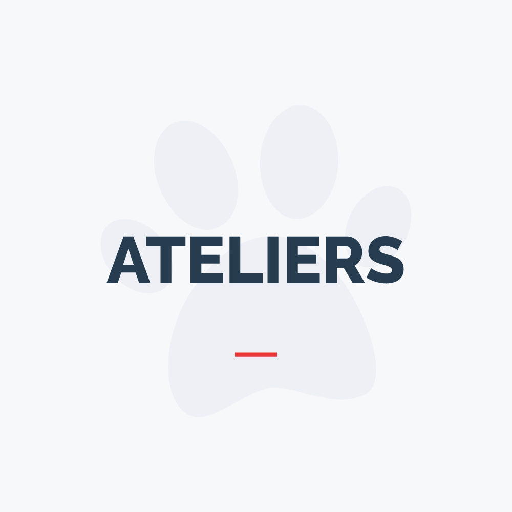 Ateliers - Prévention de morsures de Chiens 1.5