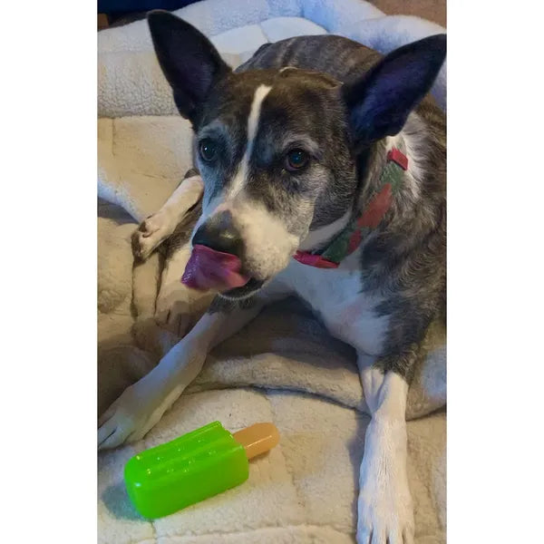 Jouet à Geler Pour chien Forme de Sucette glacée
