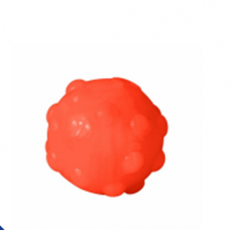 Balle rebondissante à remplir ''Jolly Pets''