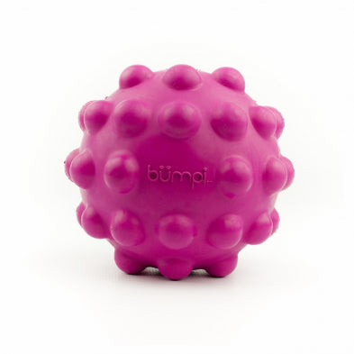 Bumpi Jouet Chien