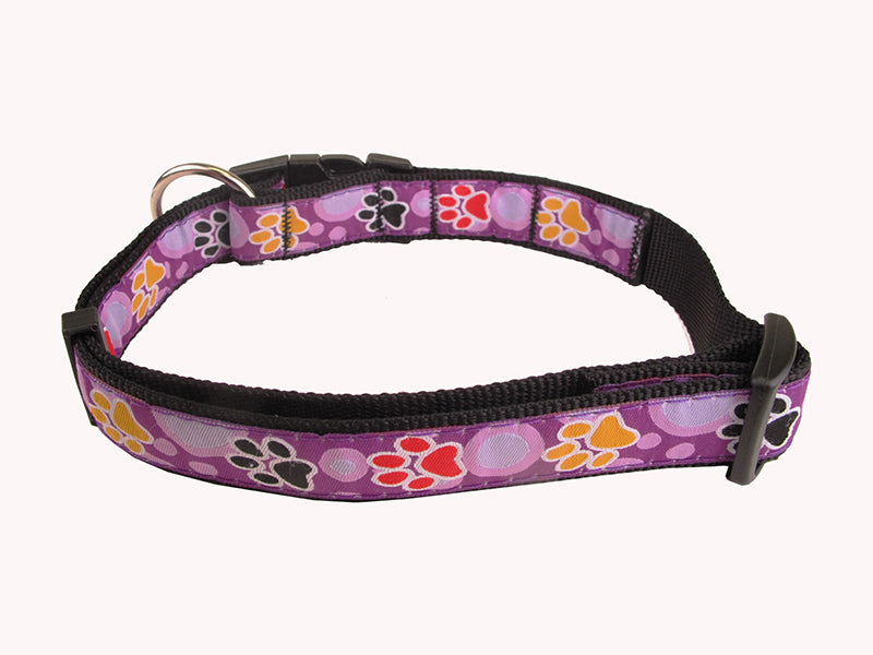 Collier Hunter Chien Mauve Pattes