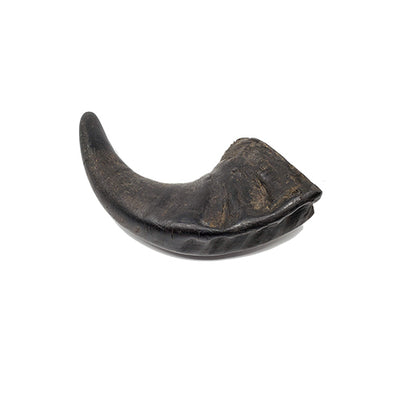 Corne De Buffle À Mâcher Pour Chien