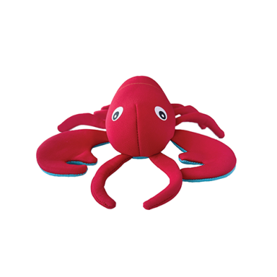 Jouet Pour Chien Flottant et Gelable