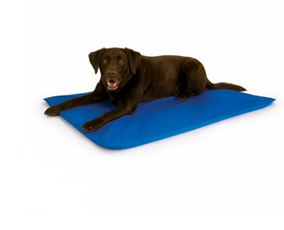 Tapis Rafraichissant pour Chiens Bleu 'Cool Bed III'