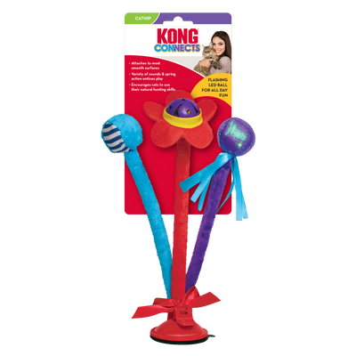 Jouet Kong Connects Pour Chat