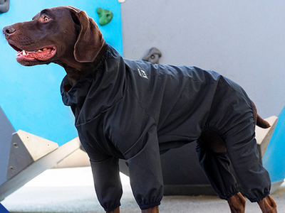 Combinaison Pour Chien Noir Canada Pooch Manteau