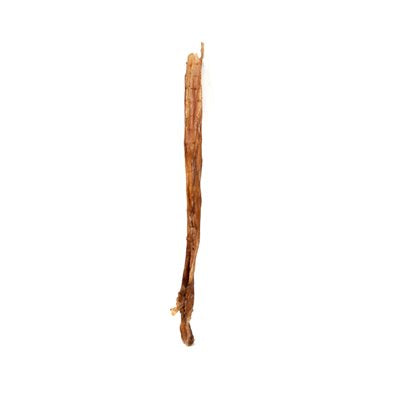 Pénis De Steer Pour chien 12'' Bellerive