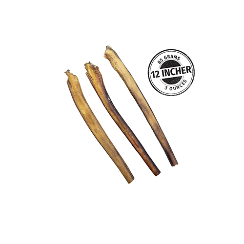 Pénis De Boeuf 12'' Magnum
