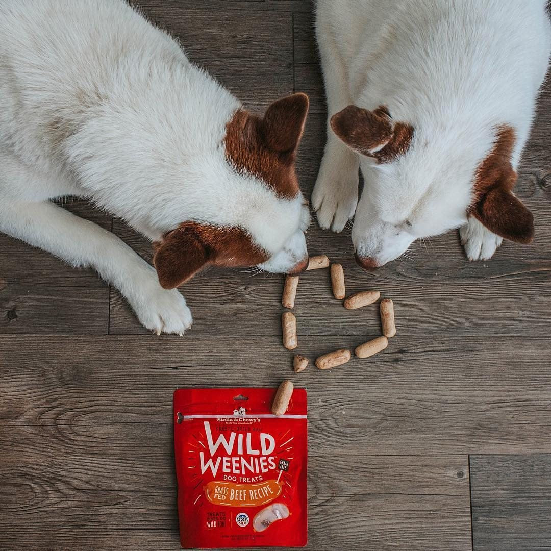 Gâteries Pour Chien *Saveur de Bœuf* - Wild Weenies