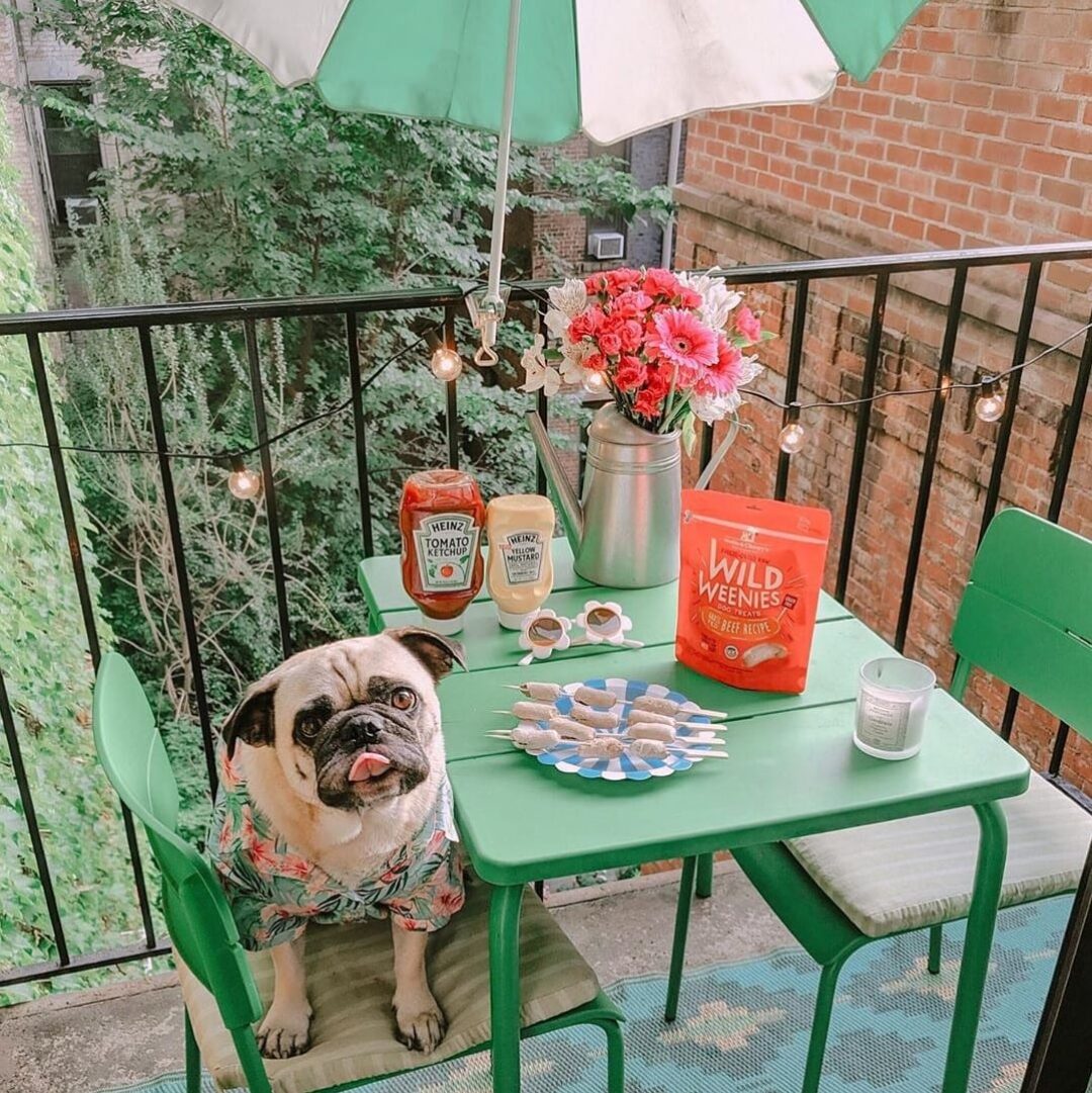Gâteries Pour Chien *Saveur de Bœuf* - Wild Weenies