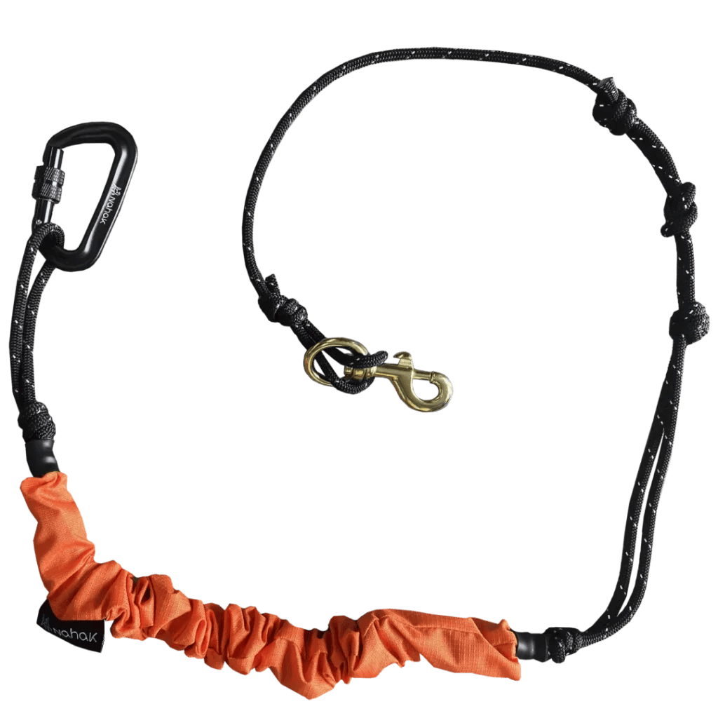 Ligne bungee multisports nahak