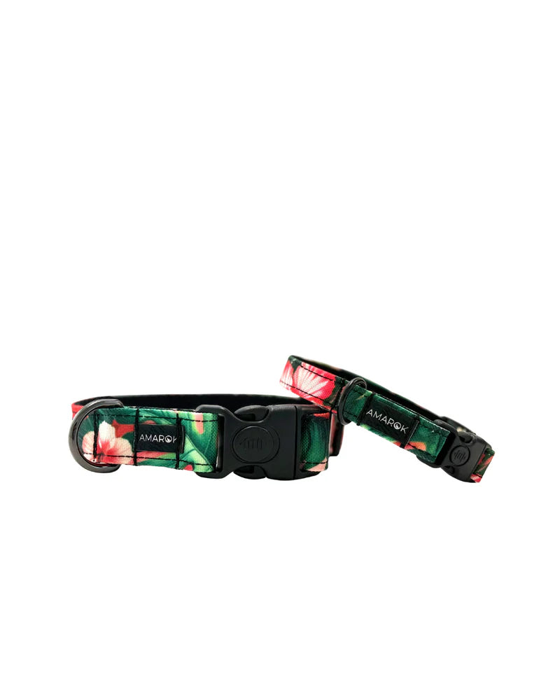 Collier Pour Chien Amarok