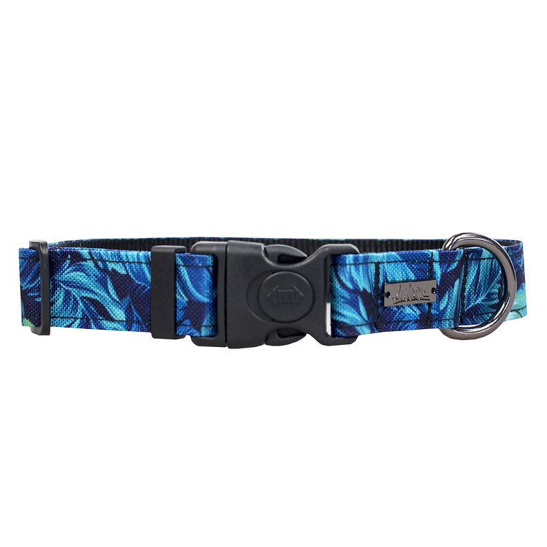 Collier Pour Chien Amarok