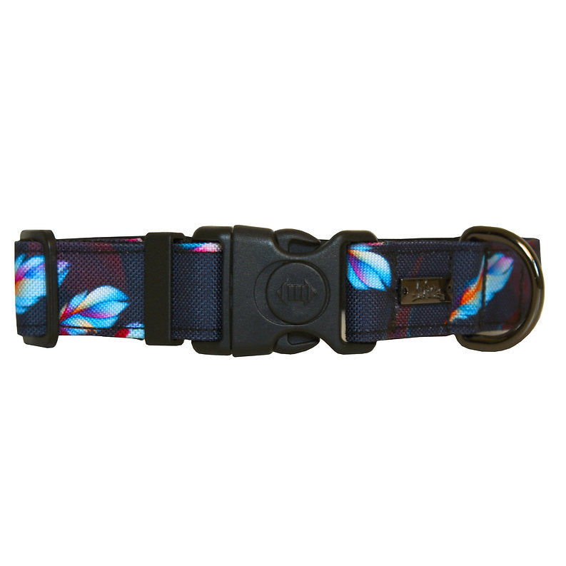 Collier Pour Chien Amarok