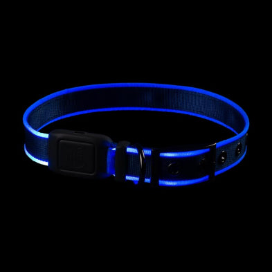 Collier Lumineux Pour Chien Nite ize