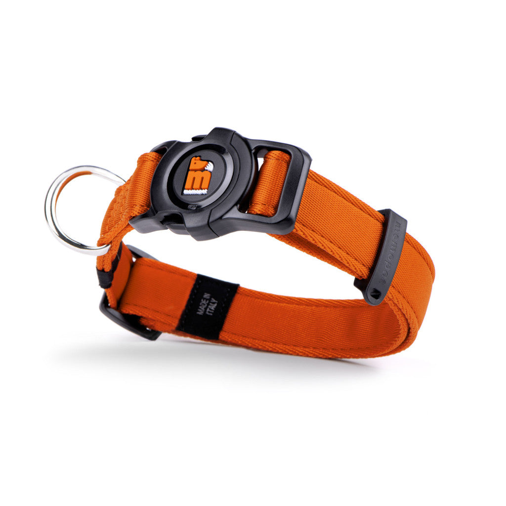 My Family - Collier Memopet Pour Chien