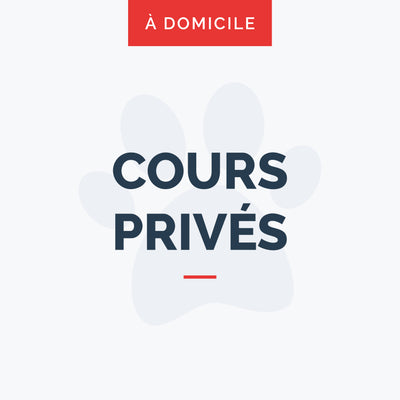 Cours privés à domicile - Base 1