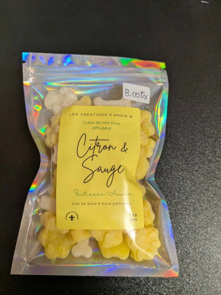 Cubes De Cire Pour Diffuseur Aux Motifs D'os Et De Pattes De Chien *Les Créations D'Anaïs**