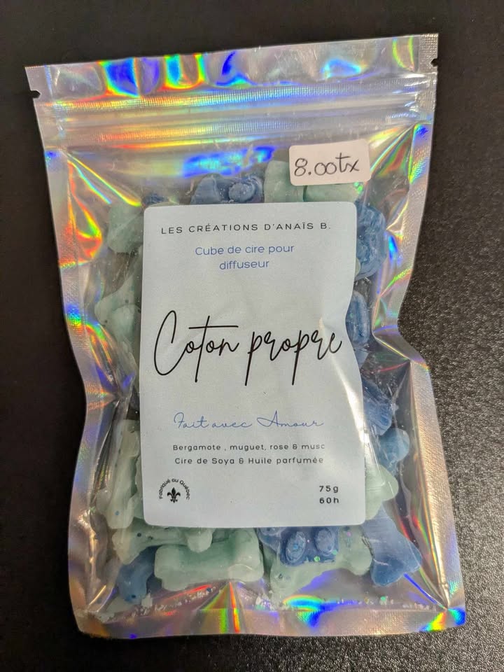 Cubes De Cire Pour Diffuseur Aux Motifs D'os Et De Pattes De Chien *Les Créations D'Anaïs**