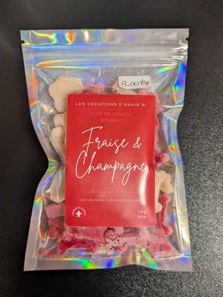 Cubes De Cire Pour Diffuseur Aux Motifs D'os Et De Pattes De Chien *Les Créations D'Anaïs**