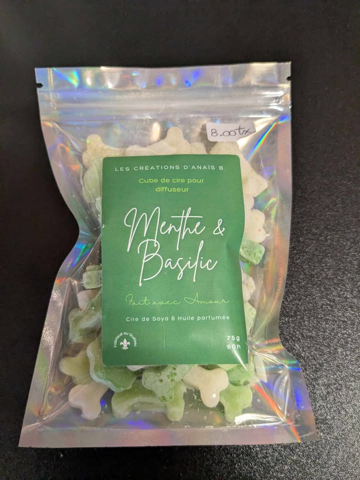 Cubes De Cire Pour Diffuseur Aux Motifs D'os Et De Pattes De Chien *Les Créations D'Anaïs**