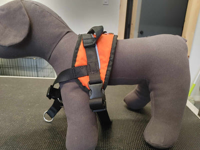 Harnais de Marche Nahak