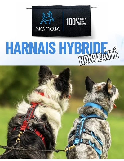 Harnais Hybride Pour Chiens Nahak