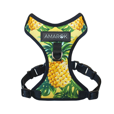 Harnais Pour Petit Chien Amarok