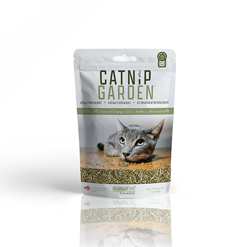 Herbes À Chat