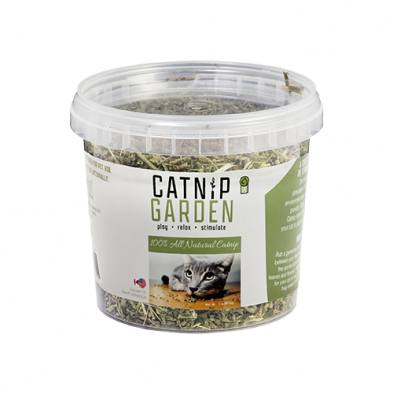 Herbes À Chat