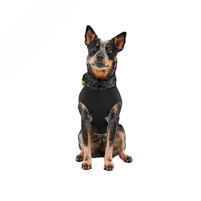 Imperméable Moulant Goo-Eez Pour Chien *Vert Lime*