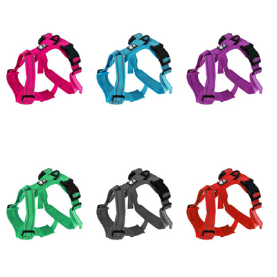 Harnais Charlie Pour Chien Le Chien Blanc