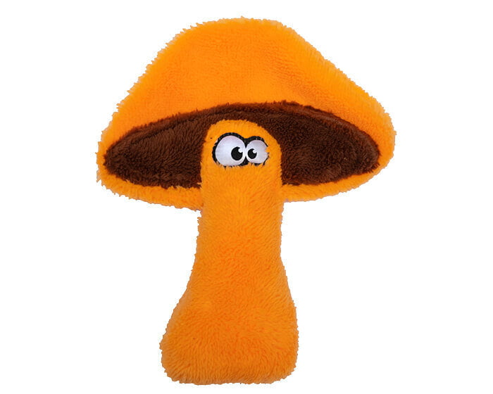 Jouet Pour Chien Duraplush De Cycle Dog