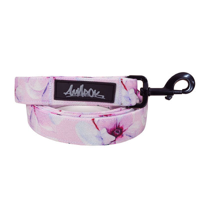 Laisse Pour Chien Amarok