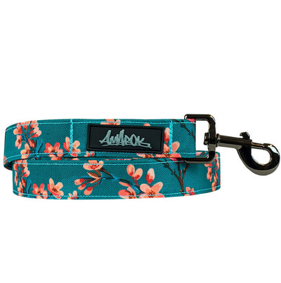 Laisse Pour Petits Chien Amarok