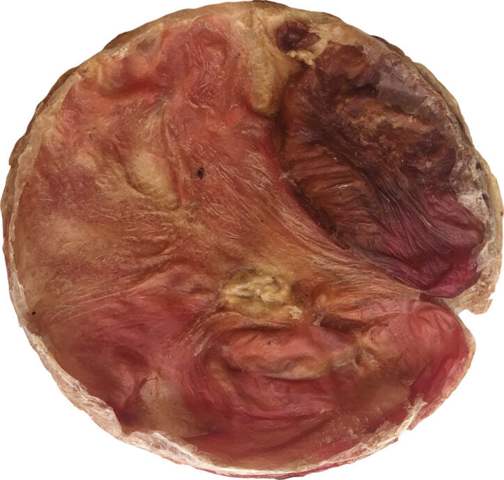 Disque De Vessie De Boeuf Pour Chien - Open Range