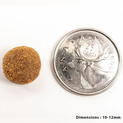 Nourriture Sèche Sans Grains À La Tripe Verte D'Agneau - PetKind