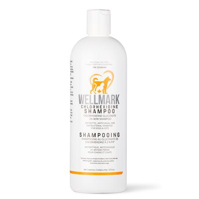 Shampoing De Chlorhexidine Wellmark Pour Chien Et Chat