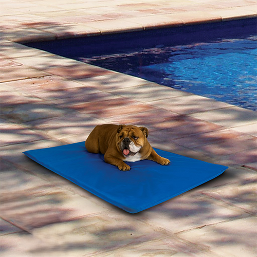 Tapis Rafraichissant pour Chiens Bleu 'Cool Bed III'