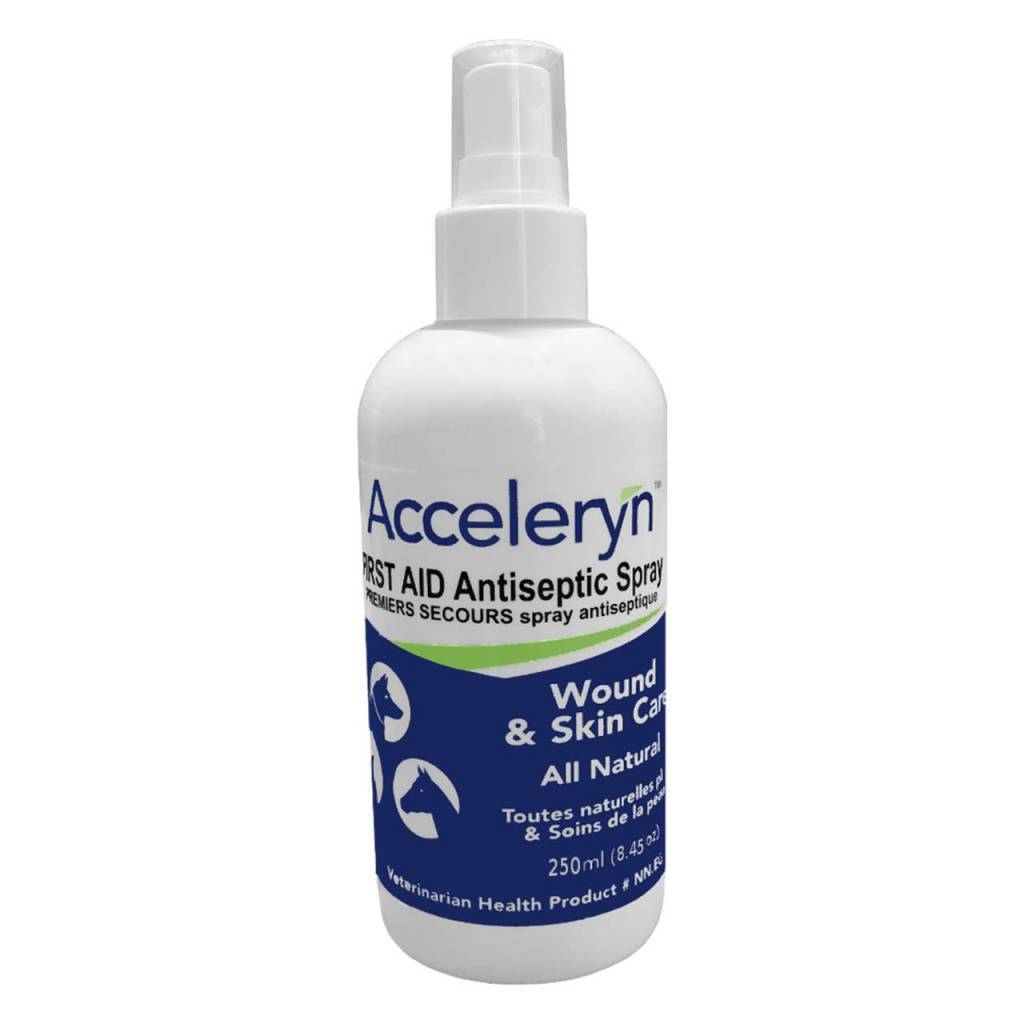 Vaporisateur antiseptique Acceleryn Pour Chats, Chiens Et Chevaux