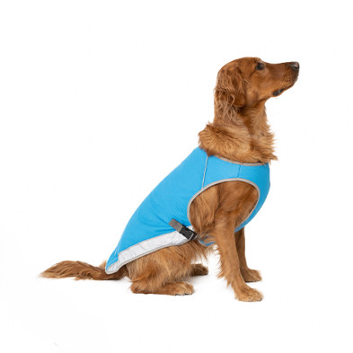 Veste Refroissante - Bleu - Canada Pooch