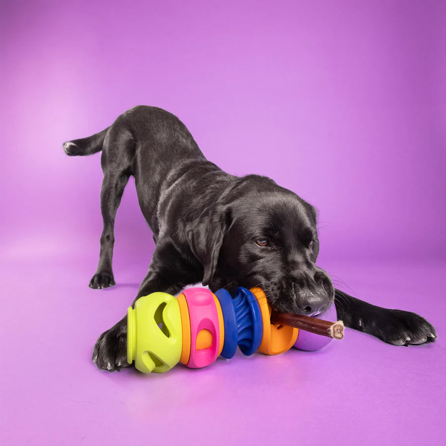 Jouet Intéractif emboîtable Duo 'le Slobber' et 'boomerang' - WagLab