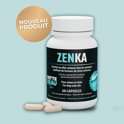 Supplément Pour Anxiété Zenka De Pattedeau Bio 60 capsules